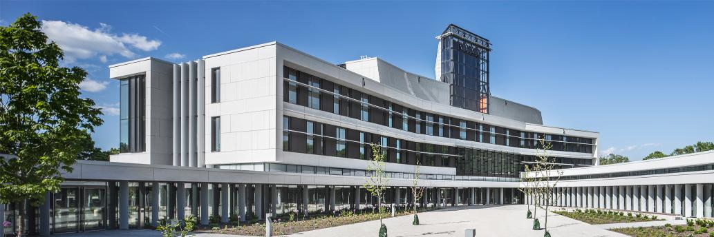 Schulich School of Business banner