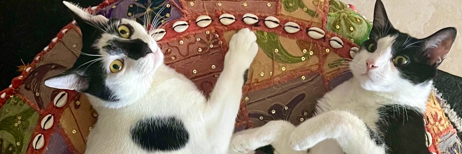 hxngry_'s profile banner image