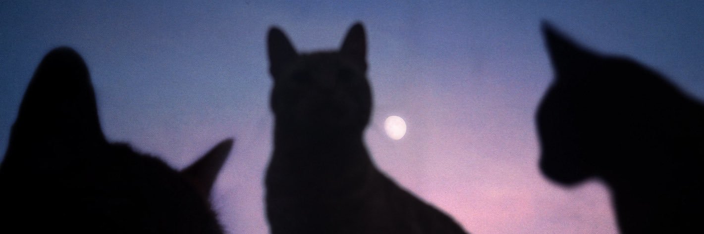 worthless1897's profile banner image