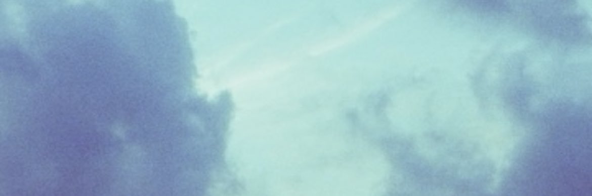 trap_mulan's profile banner image