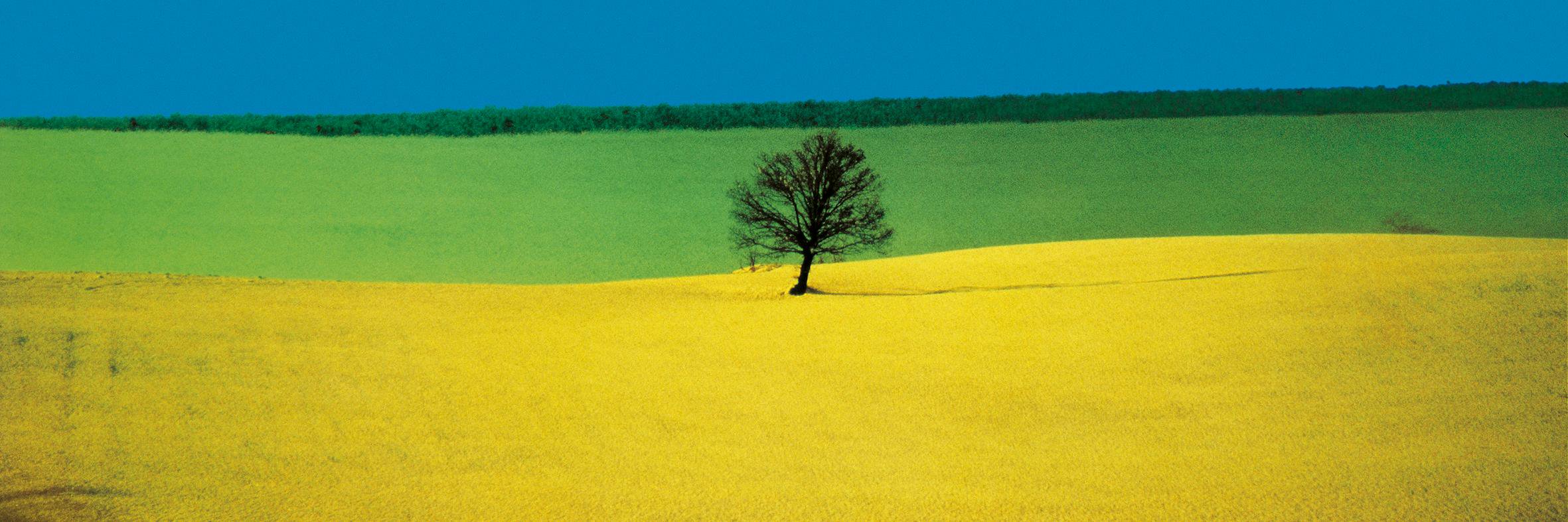 Chiara Beghelli banner