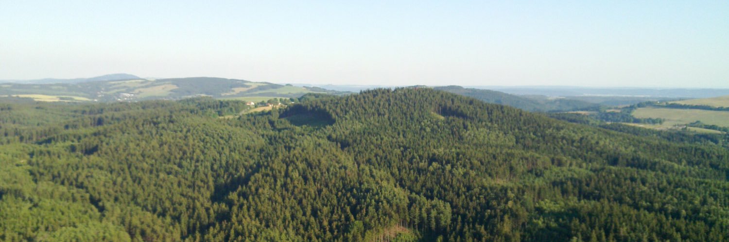 Petr Severa banner