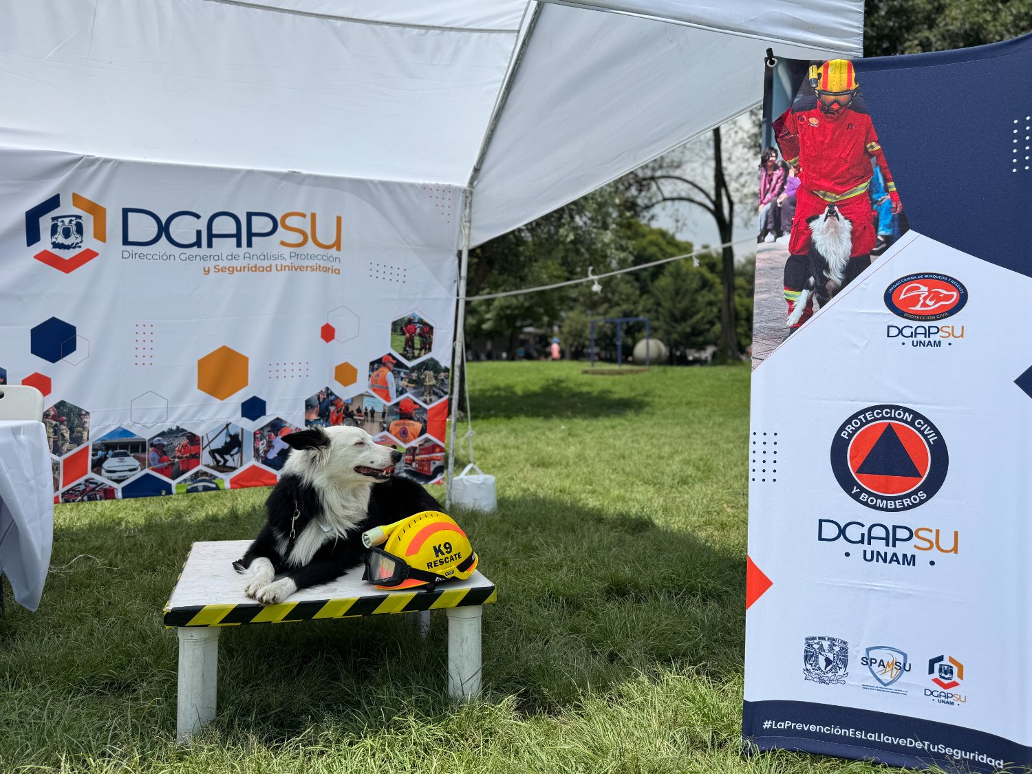 Protección Civil UNAM banner