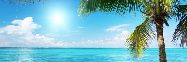 lauringleton Profile Banner