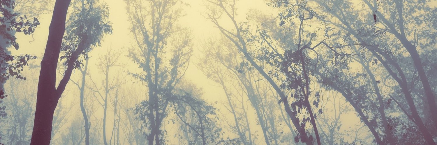 Des_la28's profile banner image