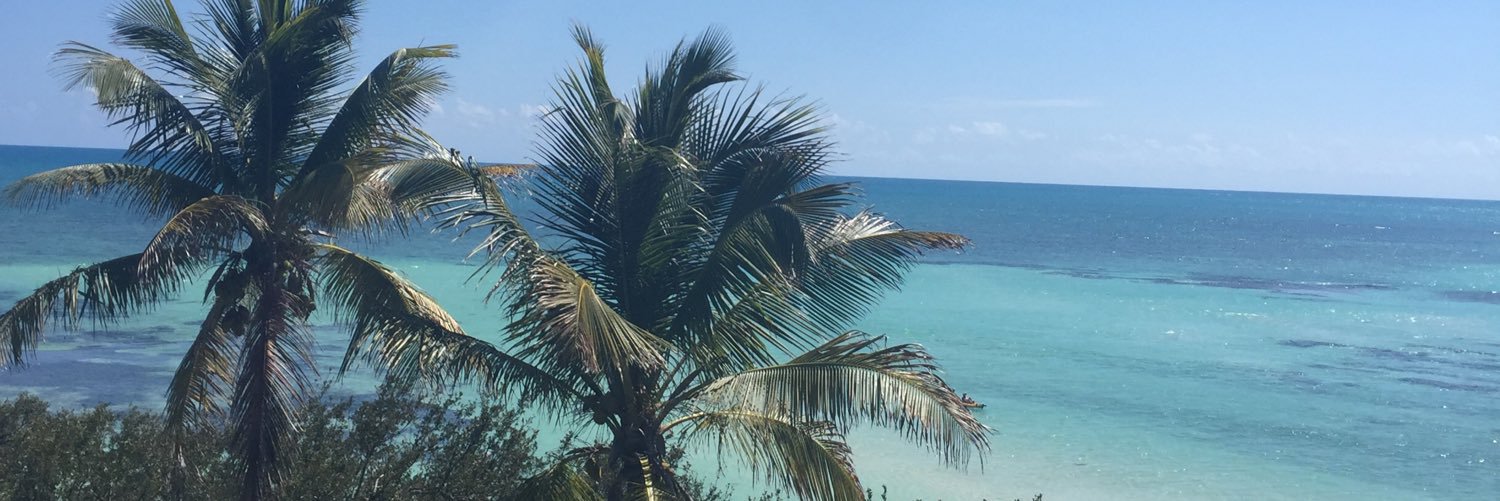 LConway4's profile banner image