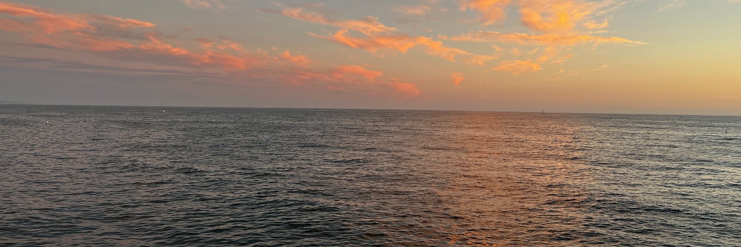 Steve Robinson banner