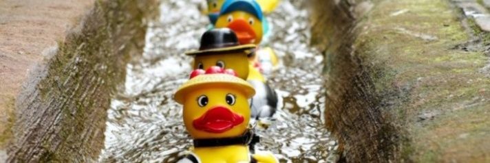 Lisa M. Marra banner