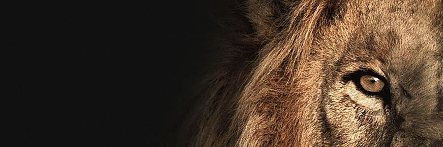 EllenCFJ's profile banner image