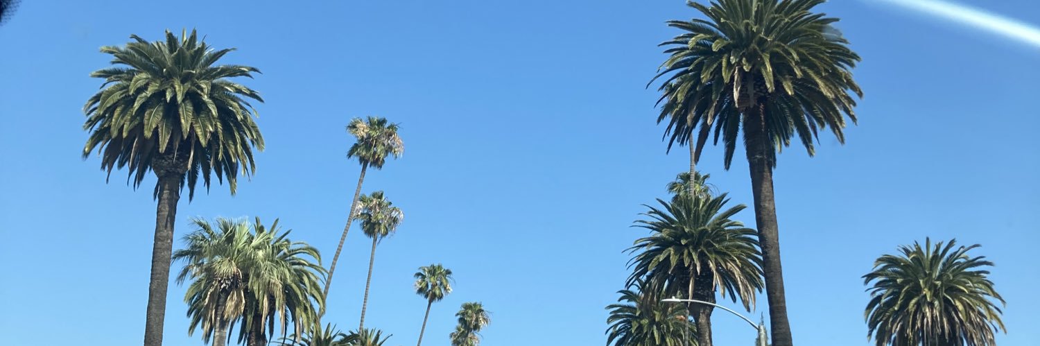 SamBrookexoxo's profile banner image