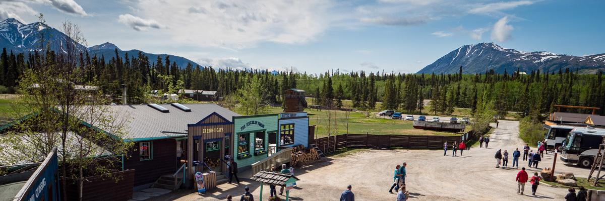 CaribouCrossing's profile banner image