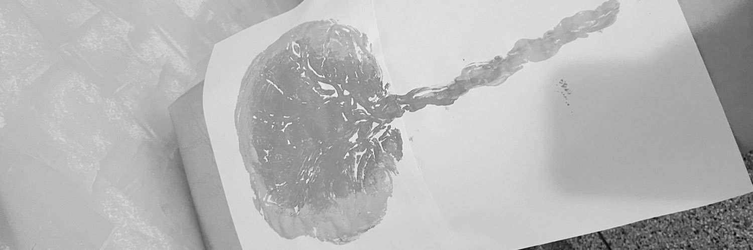 barbarescots's profile banner image
