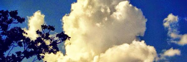 SlothanasCoinn Profile Banner