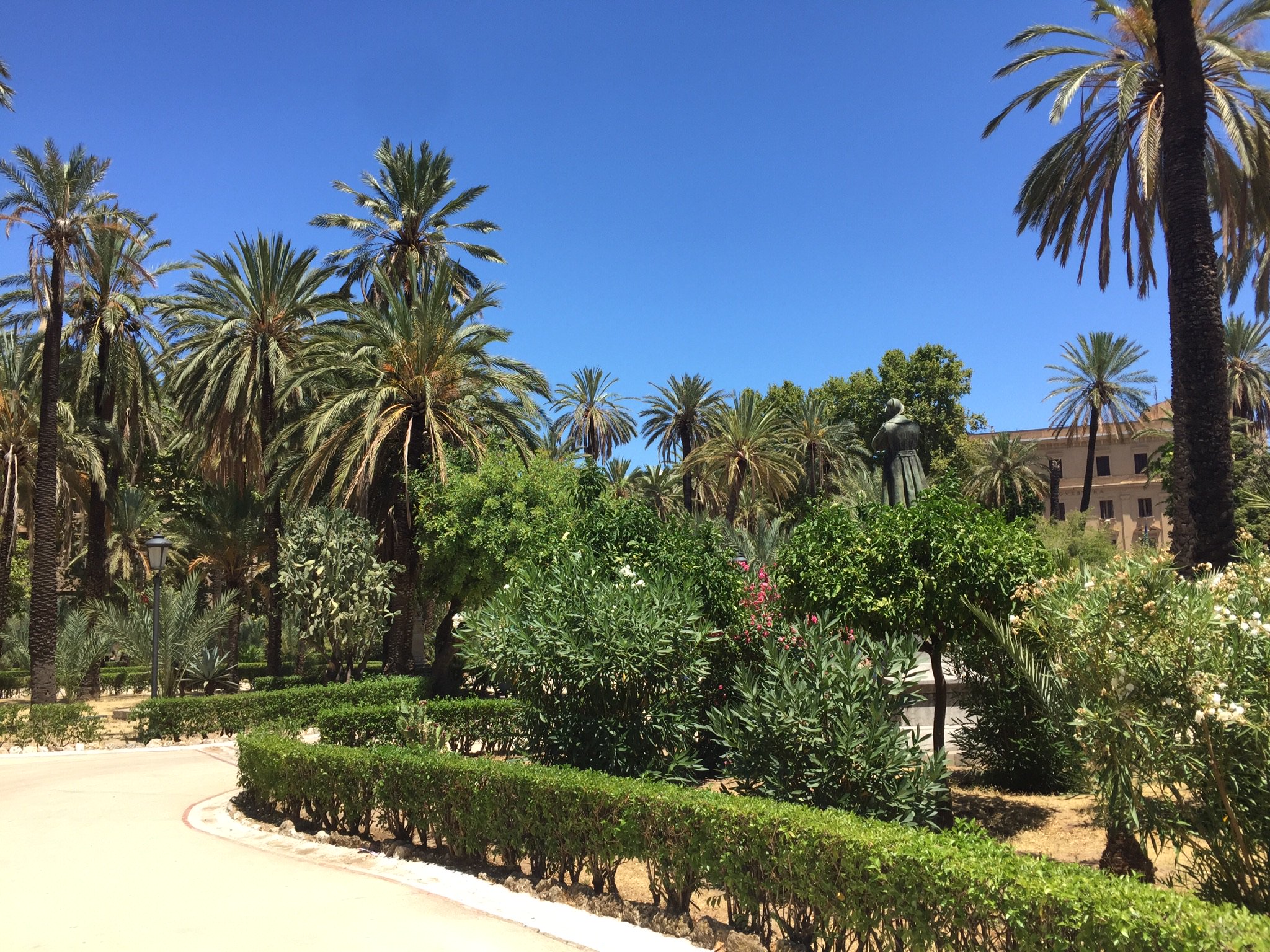 Ditlev Rindom banner