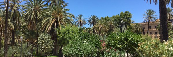 DRindom Profile Banner