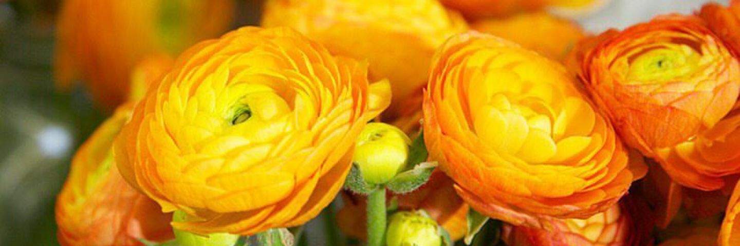 _ItsMillerTime_'s profile banner image