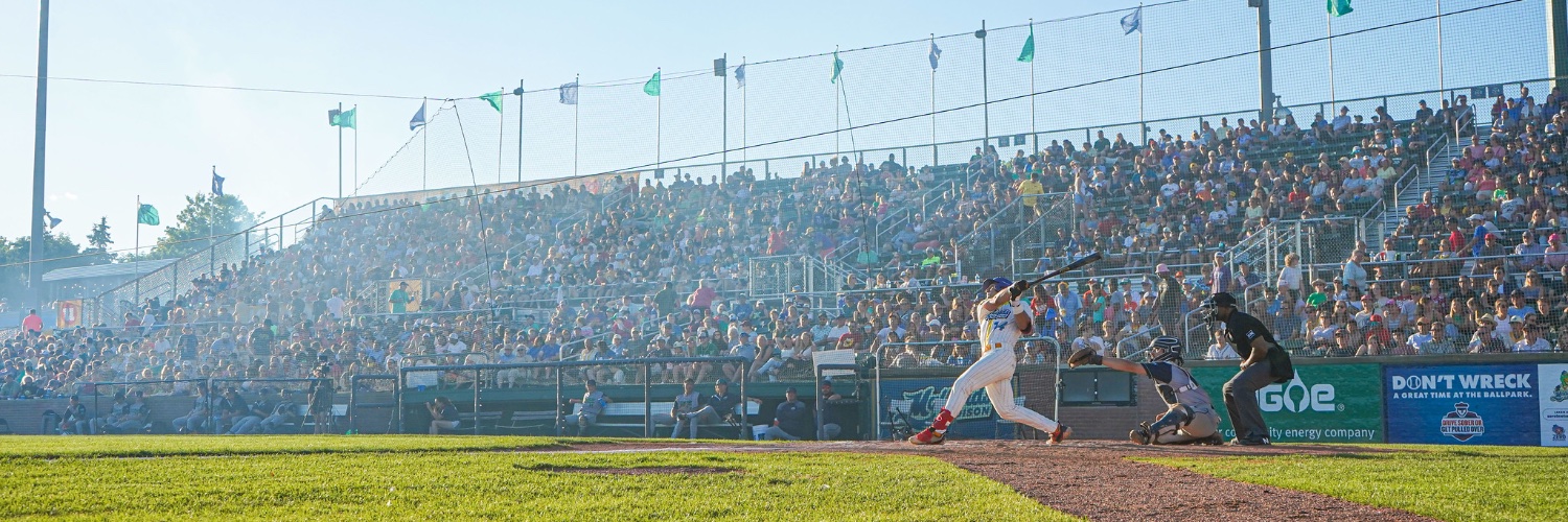 Madison Mallards's banner