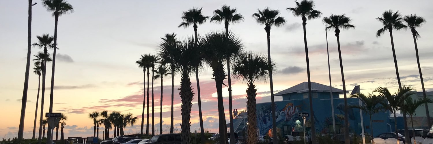 anissagunez's profile banner image