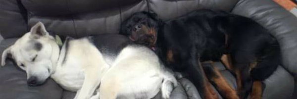 EricMichaudCT Profile Banner