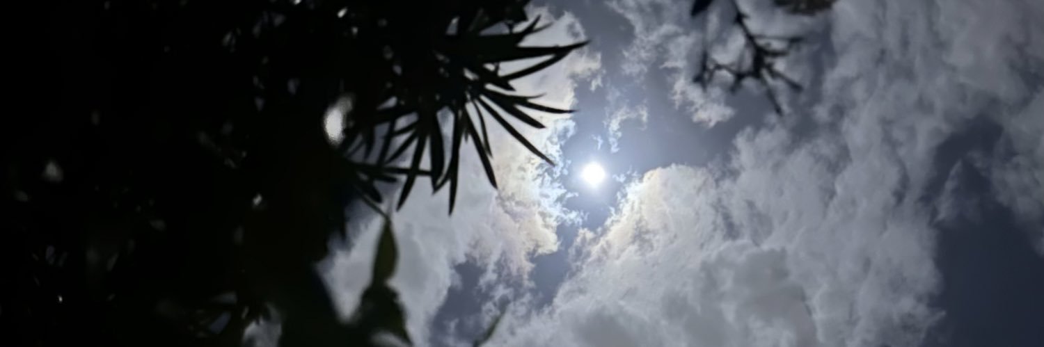 abinsll's profile banner image