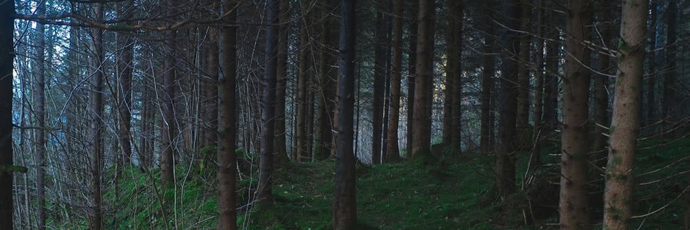 AmaviaHawkins's profile banner image