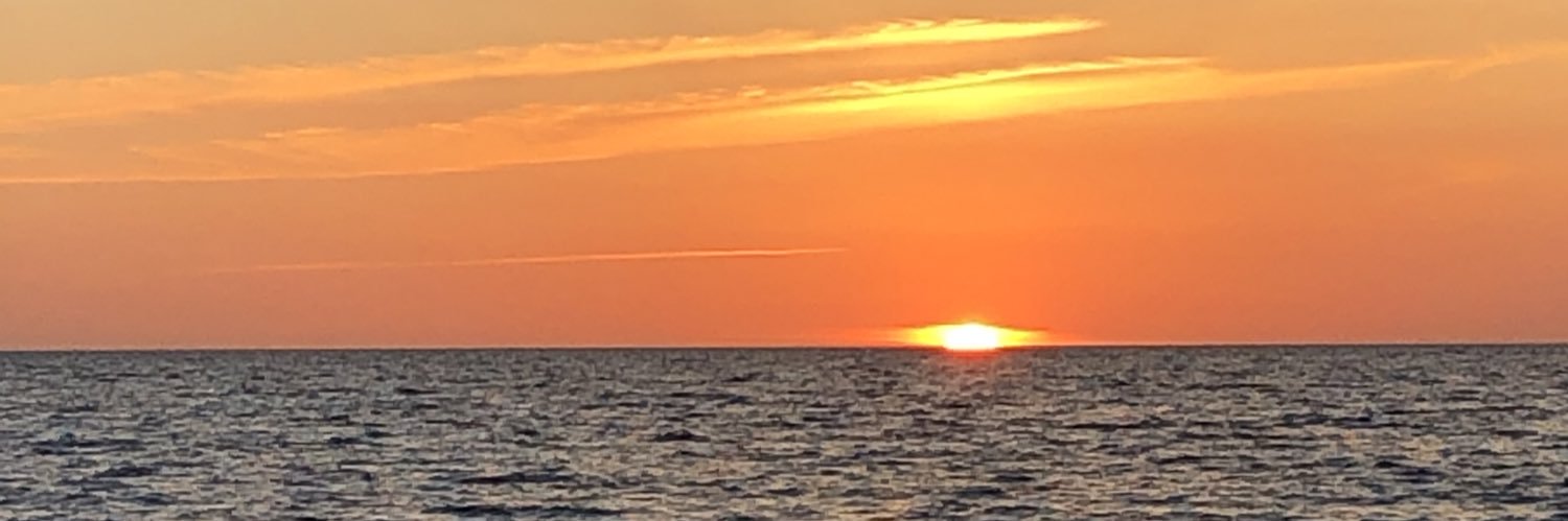 Carol Platt Liebau banner