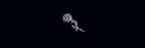 SAVVY🥀 banner