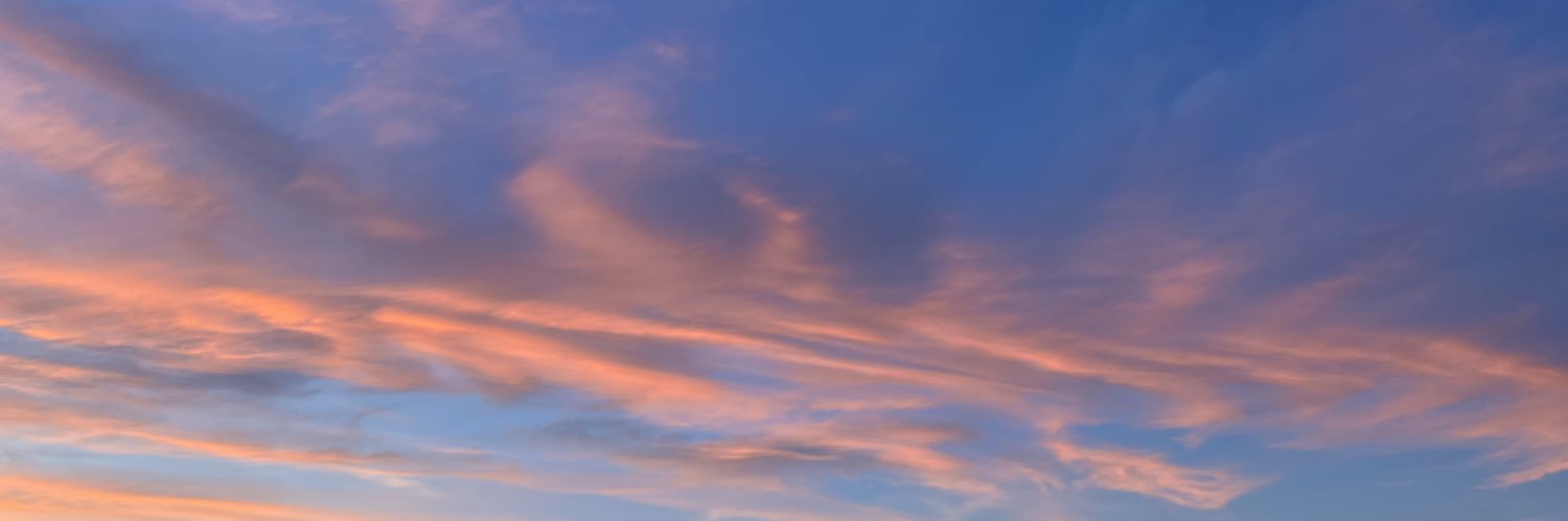 caitlin_minear's profile banner image