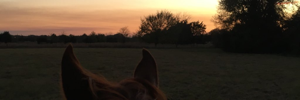 makbeth97's profile banner image