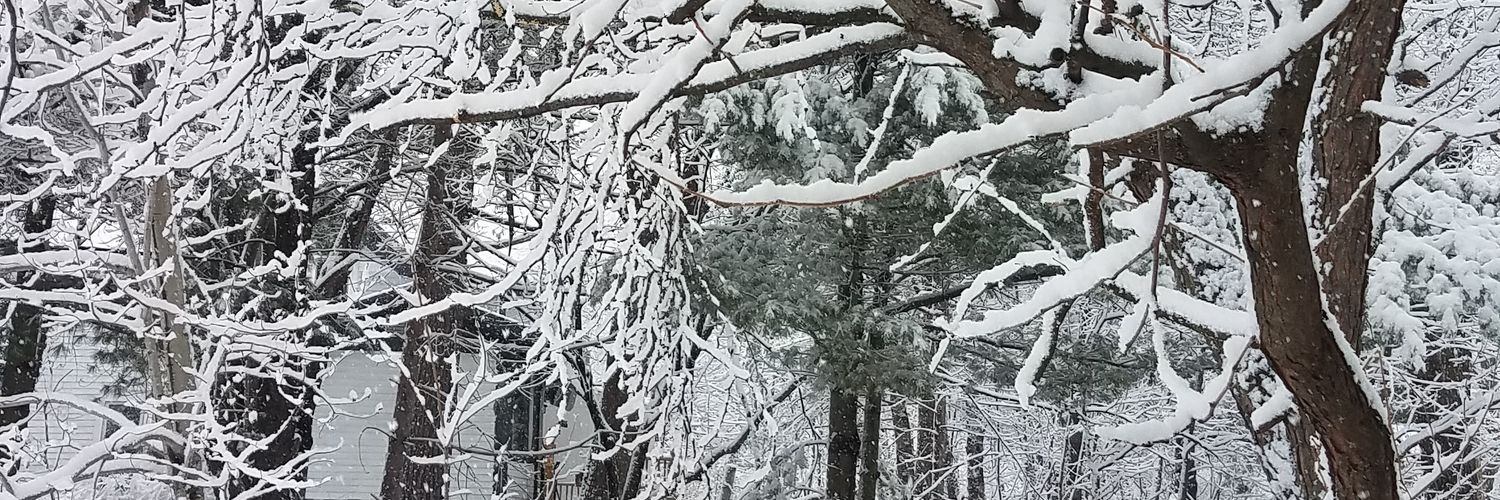 notbeck's profile banner image