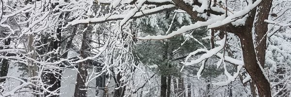 notbeck Profile Banner