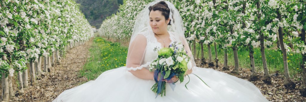 adcoderre's profile banner image