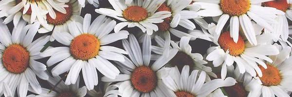 TaylyD's profile banner image