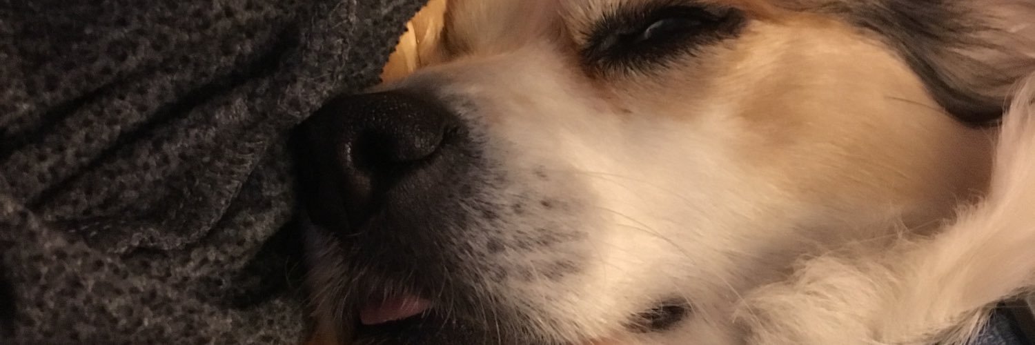 StayyCeee's profile banner image