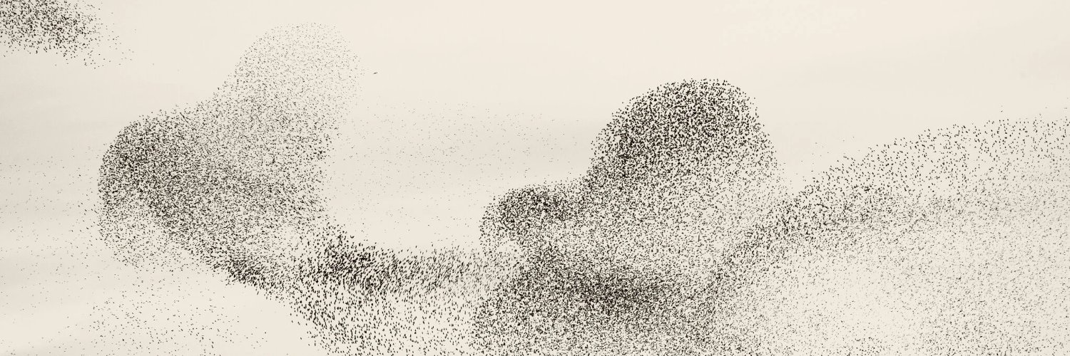 m_m_smit's profile banner image