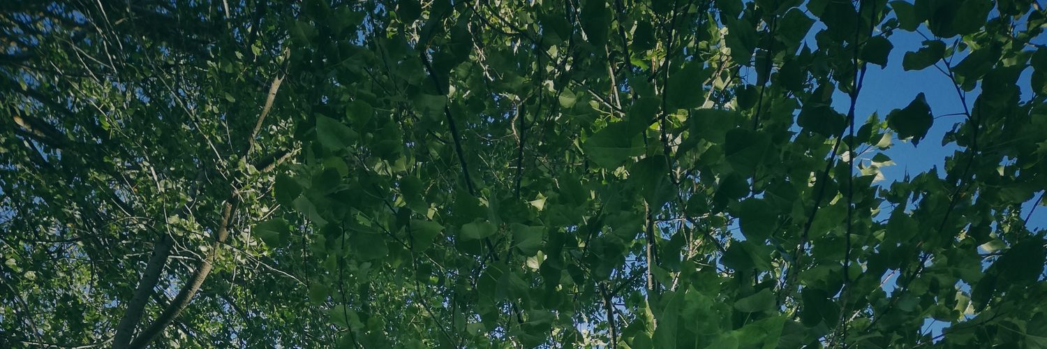 vs_dromo's profile banner image