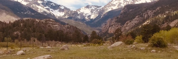 whichwaytolive's profile banner image