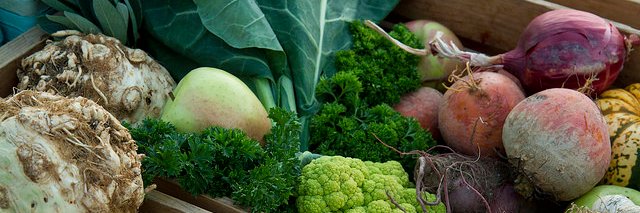 MAP Growing Green banner