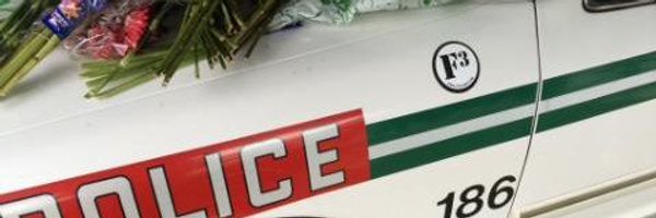 Fapdblueline Profile Banner