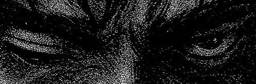 roidxmage's profile banner image