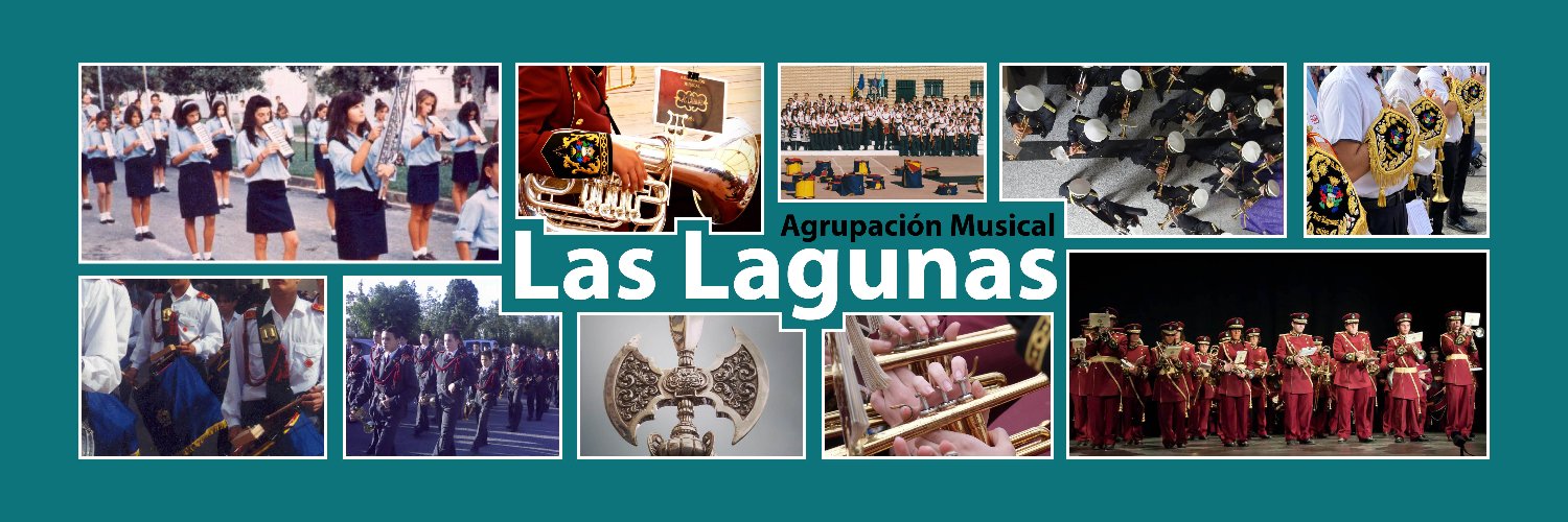 amlaslagunas's profile banner image