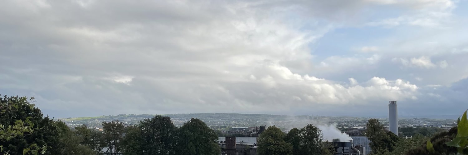 🇵🇸🏳️‍⚧️ Joy (ne sais quoi!) banner