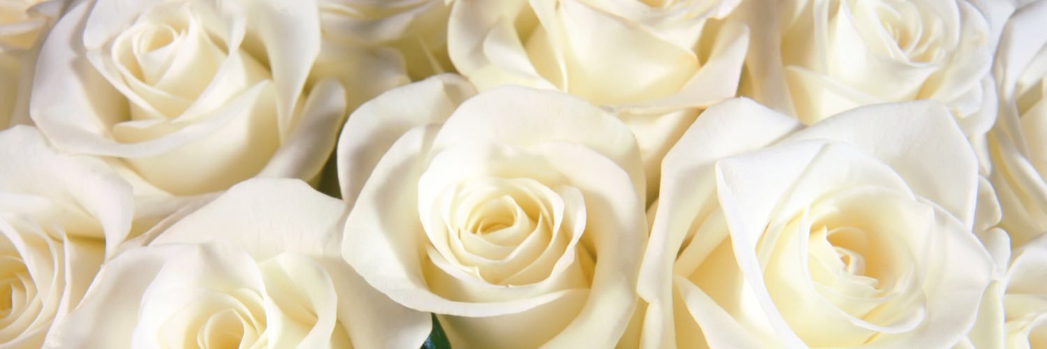 OhhKatyBaybee's profile banner image