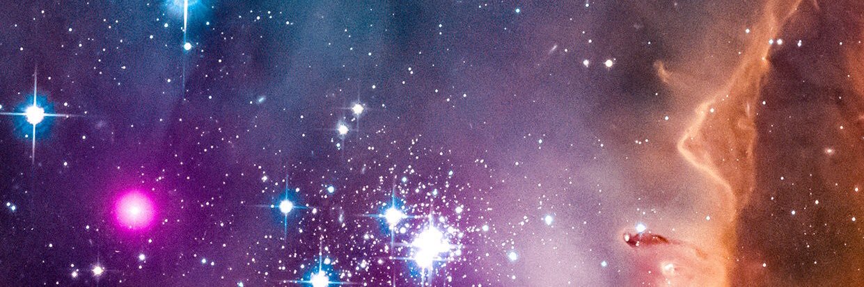 noblecharly's profile banner image
