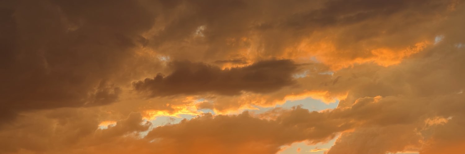 nikoschleifbaum's profile banner image
