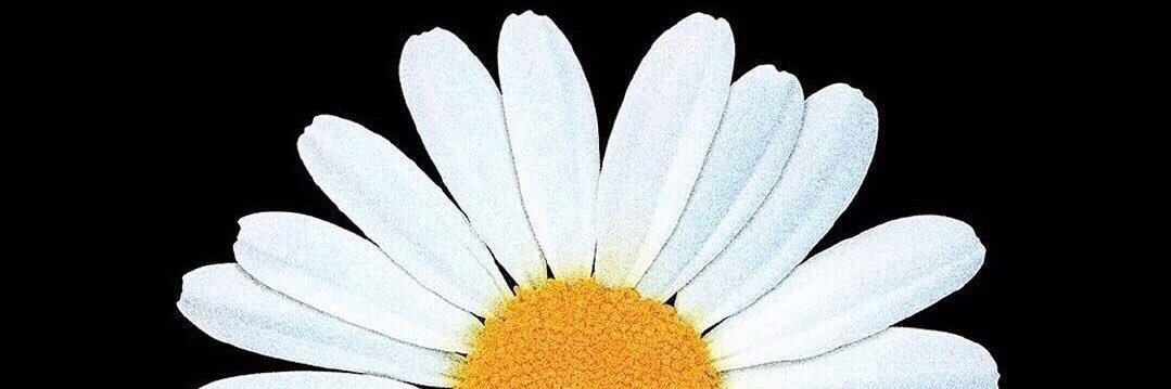 qiying12's profile banner image