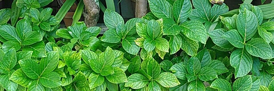 SeaTake1's profile banner image