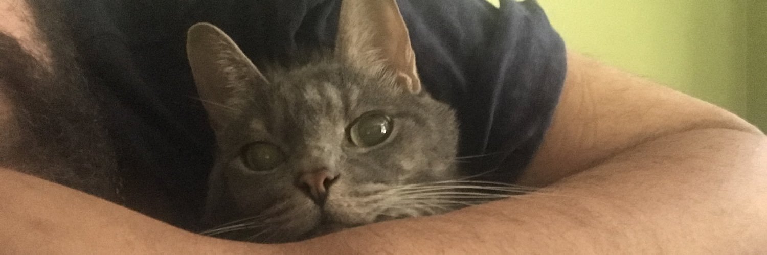 cm_flunk's profile banner image