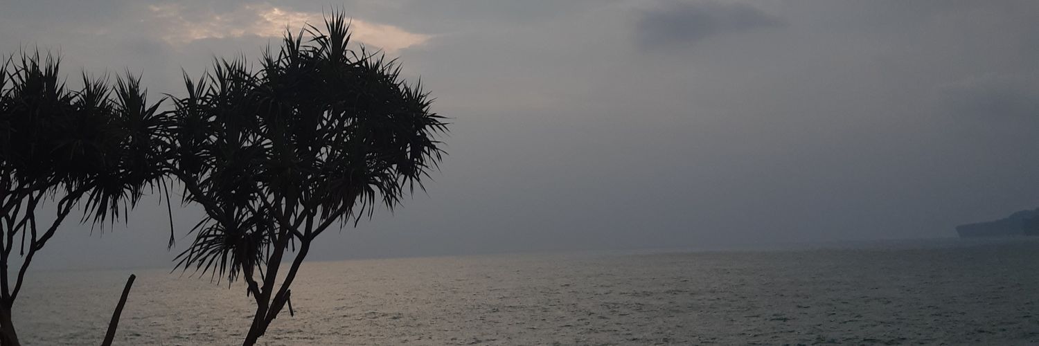 faraamrina's profile banner image