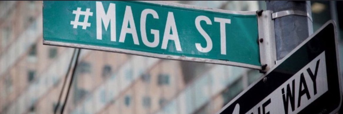 ♥️🇺🇸 𝓒𝓪𝓽𝓲𝓪 🇮🇹♥️'s banner
